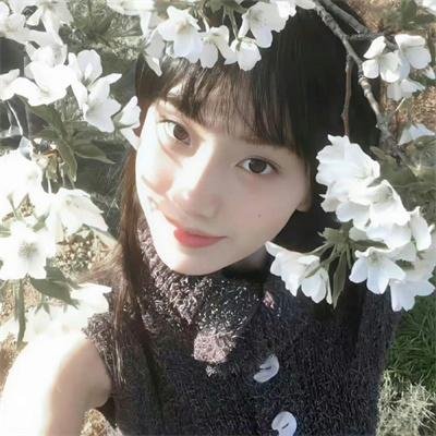 力与美之路